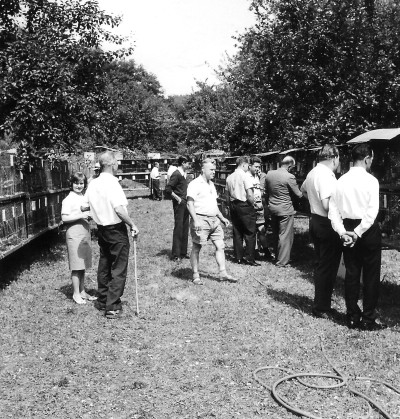 Foto Jungtierschau 1962