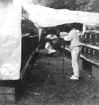 Foto Jungtierschau 1984