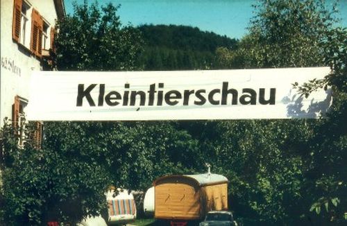Foto Jungtierschau im Sterngarten