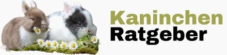 Banner Kaninchen Ratgeber