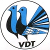 Banner VDT
